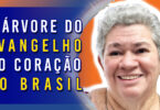 A Árvore do Evangelho no Coração do Brasil | Ep. 1181 - Radio Vivencia Espirita